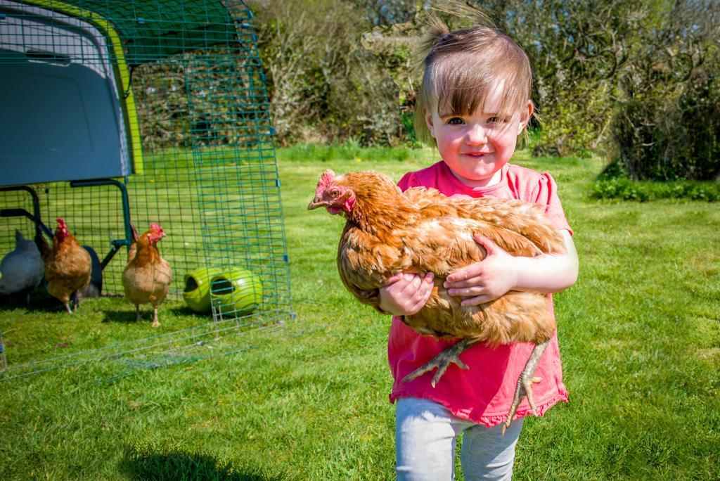 보스캐슬 Cargurra Farm 빌라 외부 사진